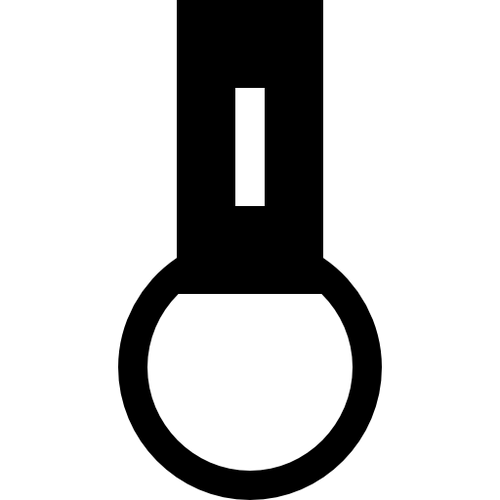 מחזיק מפתחות מבית לשלט