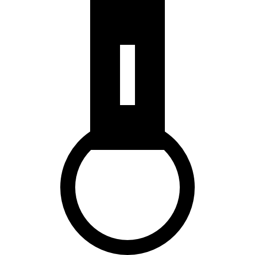 מחזיק מפתחות מבית לשלט